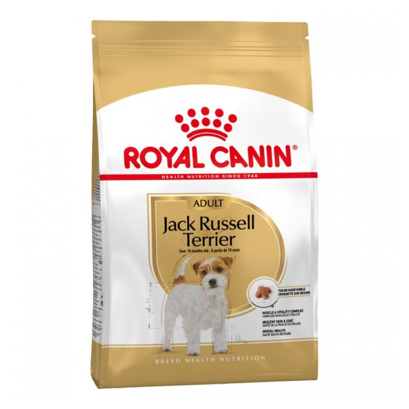 Jack russel - Royal Canin