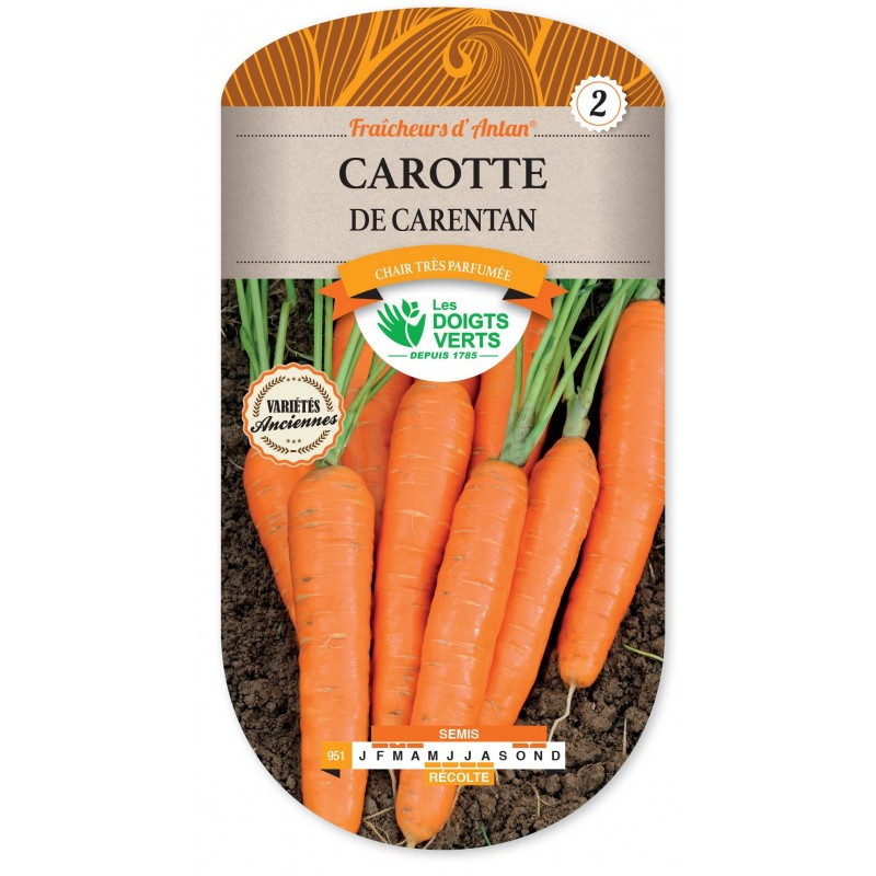 Carottes de Carentan-...