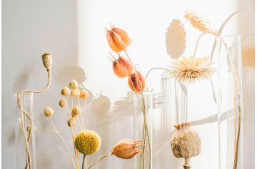Fleurs séchées : nos idées pour une décoration florale tendance